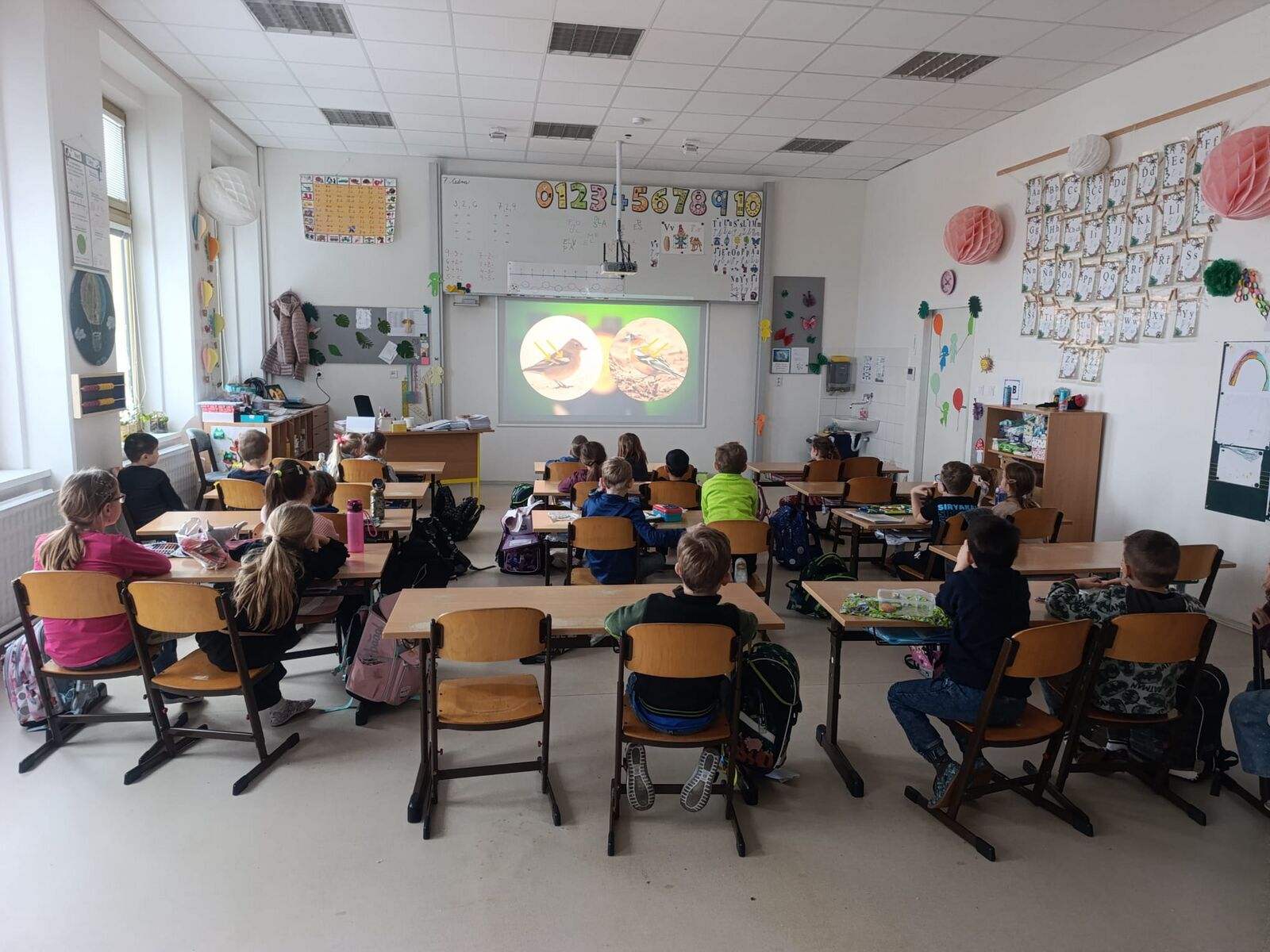 Ptačí hodinka se protáhla