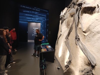 Obrázek galerie 20179
