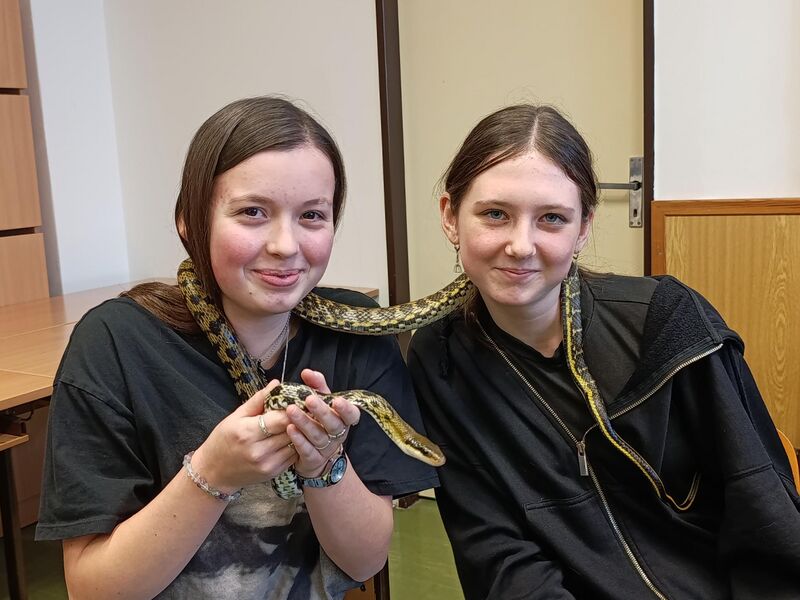 Mazlení s hady ve výuce přírodopisu!