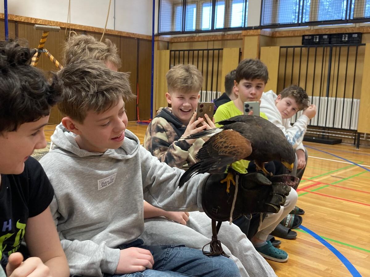 Dravci, sovy a jejich nej!